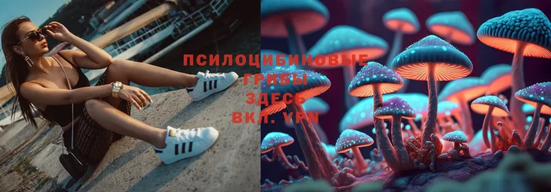 МЕГА зеркало  Карабаш  Галлюциногенные грибы MAGIC MUSHROOMS 